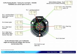 Big Tex Trailer Wire Diagram norbert Trailer Wiring Diagram Wiring Diagrams Konsult