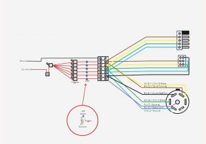 Big Tex Trailer Wiring Diagram Big Tex Wiring Diagram 7 Pin Wiring Diagram Basic