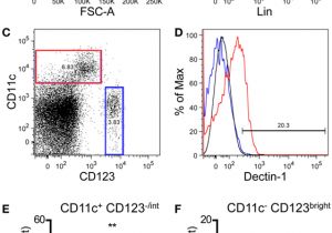 Biondo Electric Shifter Wiring Diagram Frontiers Dectin 1 Positive Dendritic Cells Expand after Infection