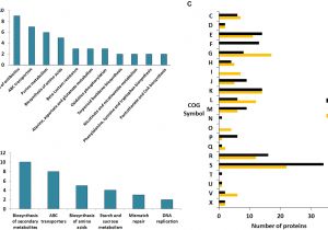 Biondo Electric Shifter Wiring Diagram Frontiers Quantitative Proteomic Analysis Of the Response Of