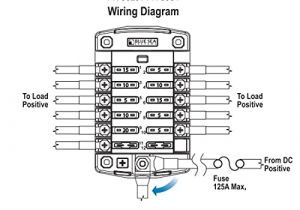 Blue Sea Systems Fuse Block Wiring Diagram Blue Sea Systems St Blade ato atc Fuse Blocks Import It All Blue Sea Systems Fuse Block Wiring Diagram Blue Sea Systems St Blade ato atc Fuse Blocks Import It All