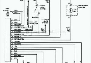 Bmw E36 Ecu Wiring Diagram Bmw E36 Ecu Wiring Wiring Diagram Basic