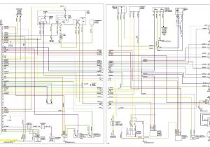 Bmw E36 Ecu Wiring Diagram Wiring Diagram for 1997 Vw Cabrio Cruisecontrol Get Free Image About Bmw E36 Ecu Wiring Diagram Wiring Diagram for 1997 Vw Cabrio Cruisecontrol Get Free Image About
