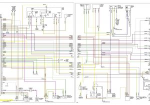 Bmw E36 Ecu Wiring Diagram Wiring Diagram for 1997 Vw Cabrio Cruisecontrol Get Free Image About