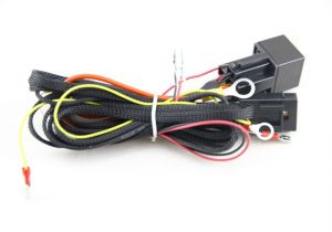 Bmw E46 Angel Eyes Wiring Diagram Bmw E46 Headlight Wiring Harness Wiring Diagram Operations