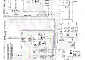 Bmw E46 Rear Light Wiring Diagram E36 Light Wiring Diagram My Wiring Diagram