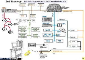 Bmw E46 Steering Wheel Control Wiring Diagram Does My E39 525i 2001 Have Canbus Bimmerfest Bmw forums