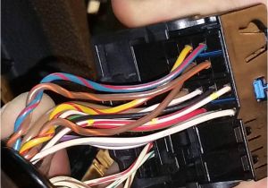 Bmw E53 Radio Wiring Diagram 2004 Bmw X3 Wiring Diagram Blog Wiring Diagram Bmw E53 Radio Wiring Diagram 2004 Bmw X3 Wiring Diagram Blog Wiring Diagram