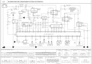 Bmw Wiring Diagram Bmw M57 Wiring Diagram Wiring Diagram Page