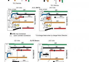 Boat Lift Switch Wiring Diagram Golden Boat Lift Wiring Diagram Wiring Diagram Value