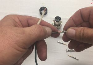 Bobcat 7 Pin Plug Wiring Diagram Bobcat 7 Pin Diagram Wiring Diagram Page Bobcat 7 Pin Plug Wiring Diagram Bobcat 7 Pin Diagram Wiring Diagram Page