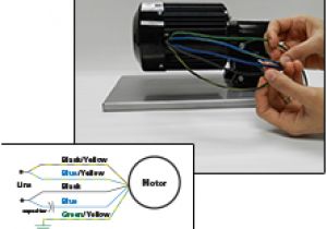 Bodine Electric Motor Wiring Diagram Bodine Electric Motor Wiring Diagram Wiring Diagram