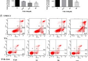 Bodine Eli S 100 Wiring Diagram Down Regulation Of Pkm2 Decreases Fasn Expression In Bladder Bodine Eli S 100 Wiring Diagram Down Regulation Of Pkm2 Decreases Fasn Expression In Bladder