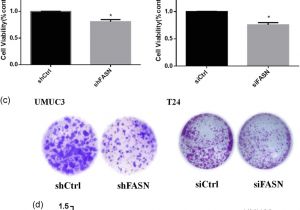 Bodine Eli S 100 Wiring Diagram Down Regulation Of Pkm2 Decreases Fasn Expression In Bladder Bodine Eli S 100 Wiring Diagram Down Regulation Of Pkm2 Decreases Fasn Expression In Bladder