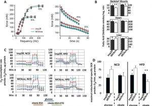Bodine Eli S 100 Wiring Diagram Imp2 Increases Mouse Skeletal Muscle Mass and Voluntary Bodine Eli S 100 Wiring Diagram Imp2 Increases Mouse Skeletal Muscle Mass and Voluntary