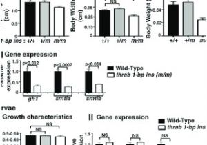 Bodine Eli S 100 Wiring Diagram Pdf Generation Of Novel Genetic Models to Dissect Bodine Eli S 100 Wiring Diagram Pdf Generation Of Novel Genetic Models to Dissect