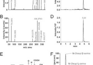 Bodine Eli S 100 Wiring Diagram Pdf Oleoyl Serine An Endogenous N Acyl Amide Modulates Bodine Eli S 100 Wiring Diagram Pdf Oleoyl Serine An Endogenous N Acyl Amide Modulates