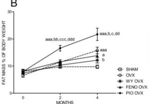 Bodine Eli S 100 Wiring Diagram Pdf the Peroxisome Proliferator Activated Receptor Ppar Bodine Eli S 100 Wiring Diagram Pdf the Peroxisome Proliferator Activated Receptor Ppar