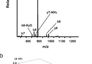 Bodine Eli S 100 Wiring Diagram Quantitative Time Resolved Phosphoproteomic Analysis Of Mast Bodine Eli S 100 Wiring Diagram Quantitative Time Resolved Phosphoproteomic Analysis Of Mast