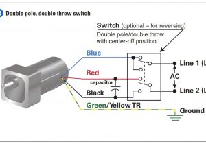 Bodine Motor Wiring Diagram 4 Wire Ac Motor Wiring Online Manuual Of Wiring Diagram Bodine Motor Wiring Diagram 4 Wire Ac Motor Wiring Online Manuual Of Wiring Diagram