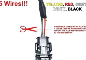Bosch 15730 Oxygen Sensor Wiring Diagram Bosch 5 Wire Sensor Wiring Diagram Wiring Diagram