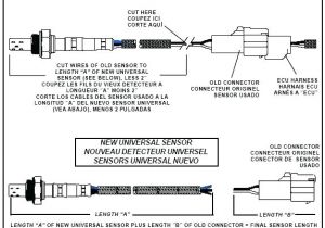 Bosch 5 Wire O2 Sensor Wiring Diagram Bosch 4 Wire O2 Sensor Wiring Diagram Wiring Diagram Schema Bosch 5 Wire O2 Sensor Wiring Diagram Bosch 4 Wire O2 Sensor Wiring Diagram Wiring Diagram Schema