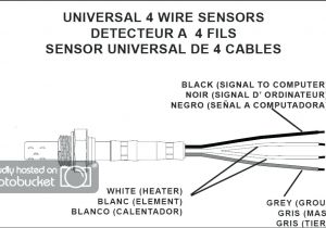 Bosch 5 Wire O2 Sensor Wiring Diagram Denso Oxygen Sensor Wiring Diagram Wiring Diagram