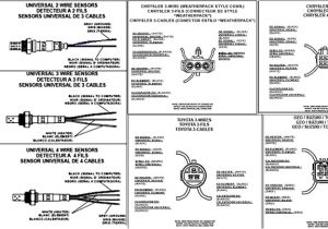 Bosch 5 Wire Wideband O2 Sensor Wiring Diagram Bmw Oxygen Sensor Wiring Diagram Wiring Diagram Database Bosch 5 Wire Wideband O2 Sensor Wiring Diagram Bmw Oxygen Sensor Wiring Diagram Wiring Diagram Database
