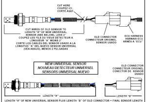 Bosch 5 Wire Wideband O2 Sensor Wiring Diagram O2 Wiring Diagram Wiring Diagram Bosch 5 Wire Wideband O2 Sensor Wiring Diagram O2 Wiring Diagram Wiring Diagram