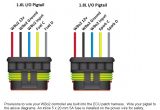 Bosch 5 Wire Wideband O2 Sensor Wiring Diagram Wideband O2 Sensor Wire Diagram 5 Wiring Diagram