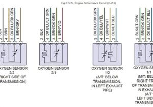 Bosch O2 Sensor Wiring Diagram Diagram Of Oxygen Sensor Blog Wiring Diagram