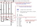 Bosch Universal O2 Sensor Wiring Diagram Bosch 5 Wire Wideband O2 Sensor Wiring Diagram Wiring
