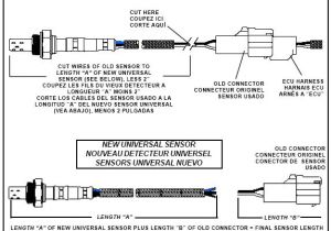 Bosch Universal O2 Sensor Wiring Diagram Bosch O2 Sensor Wiring Diagram Avimar Info