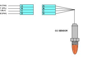 Bosch Universal O2 Sensor Wiring Diagram Diagram 3 Wire O2 Sensor Wiring Diagram Full Version Hd