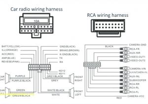 Bose Car Amplifier Wiring Diagram Sub Amp Wiring Diagram Wiring Diagram Centre