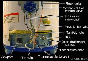 Bradford White Electric Water Heater Wiring Diagram Basic Parts for Gas Water Heater