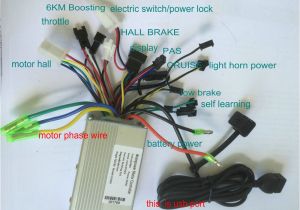 Brain Power Motor Controller Wiring Diagram A 24v36v48v Lcd Display 124dx with Throttle Bldc Motor Brain Power Motor Controller Wiring Diagram A 24v36v48v Lcd Display 124dx with Throttle Bldc Motor
