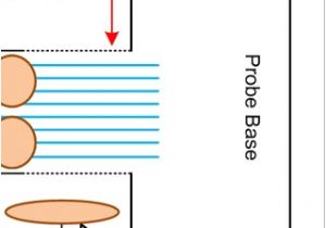 Brain Wiring Diagram A Schematic Of Implanted Probe Reaching Multiple areas Inside A Rat