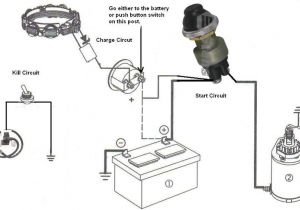 Briggs and Stratton Charging System Wiring Diagram Briggs and Stratton Ignition System Diagram Wiring Diagram Paper