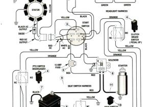 Briggs and Stratton Ignition Coil Wiring Diagram Dynamark Wiring Diagram Wiring Diagram