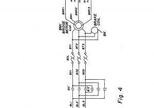 Budgit Hoist Wiring Diagram Dh Wiring Diagram Auto Diagram Database