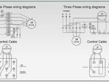 Budgit Hoist Wiring Diagram Dh Wiring Diagram Auto Diagram Database