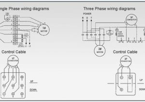 Budgit Hoist Wiring Diagram Dh Wiring Diagram Auto Diagram Database