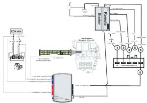 Bulldog Remote Start Wiring Diagram Bulldog Xk09 Wiring Diagram Wiring Diagram Post