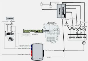 Bulldog Security Remote Starter Wiring Diagram Bulldog Security Rs83b Remote Start Wiring Diagram Wiring Diagram