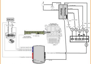 Bulldog Security Remote Starter Wiring Diagram Bulldog Security Rs83b Remote Start Wiring Diagram Wiring Diagram Bulldog Security Remote Starter Wiring Diagram Bulldog Security Rs83b Remote Start Wiring Diagram Wiring Diagram