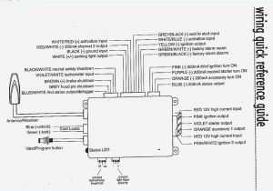 Bulldog Security Wiring Diagram 1995 Bmw 325is Bulldog Alarms Wiring Diagrams Schema Diagram Database