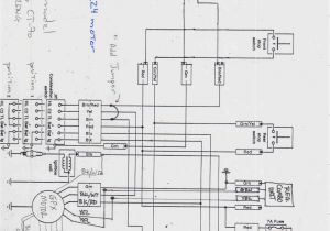 Bulldog Wiring Diagrams Loncin 50cc Mini Chopper Wiring Diagram My Wiring Diagram