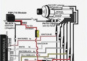 Bully Dog Remote Start Wiring Diagram Bulldog Xk09 Wiring Diagram Wiring Diagram New