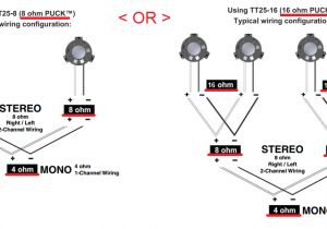Buttkicker Wiring Diagram Simshaker Cockpit Shaker Project Ed forums Buttkicker Wiring Diagram Simshaker Cockpit Shaker Project Ed forums